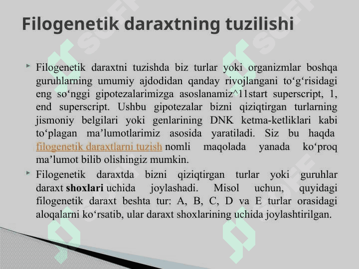 Molekulyar filogenetika. Zamonaviy bioinformatsion dasturlar (ClustalW2, T,Coffee va boshqalar 6