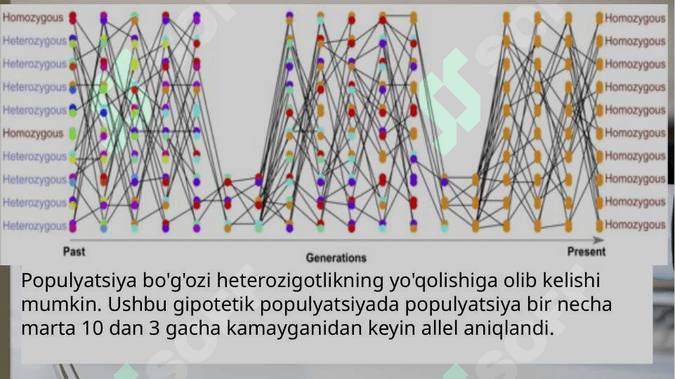 Populyatsiyalar genetikasi 4