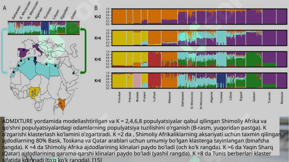 Populyatsiyalar genetikasi 6