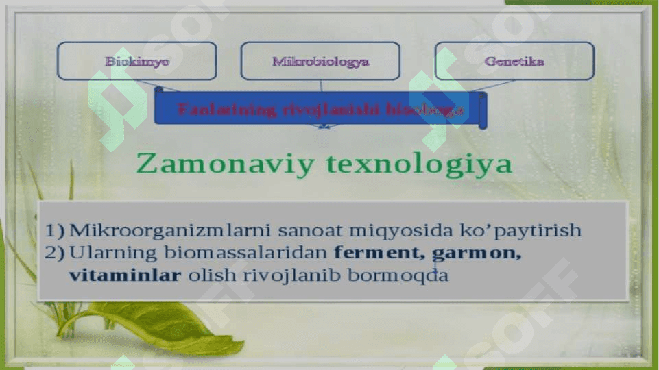 BIOTEXNOLOGIYA FANINING PREDMETI, OBEKTI VA VAZIFALARI 6