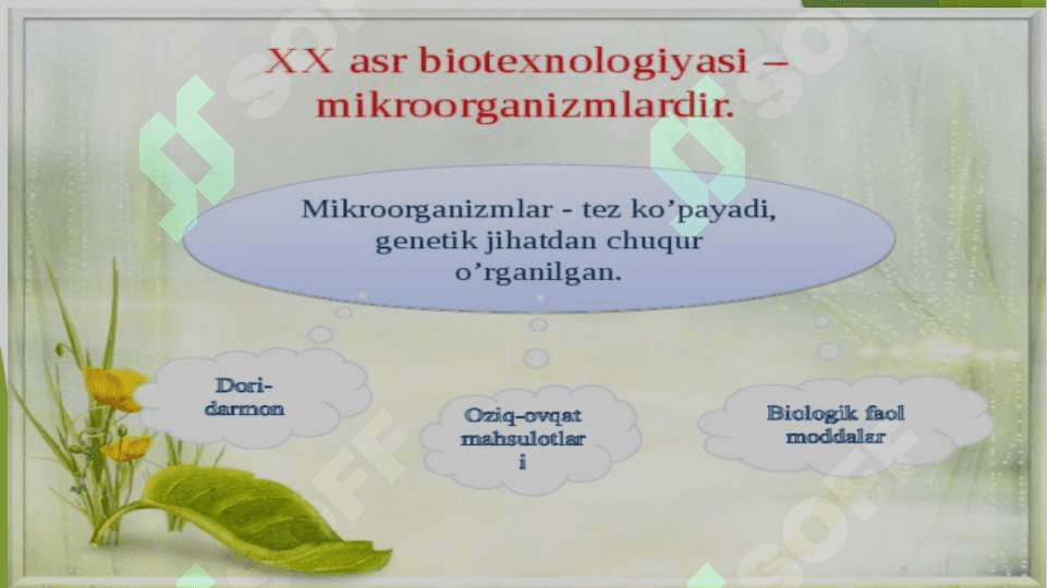 BIOTEXNOLOGIYA FANINING PREDMETI, OBEKTI VA VAZIFALARI 7
