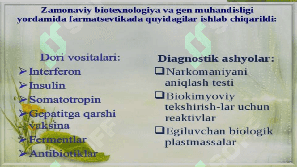 BIOTEXNOLOGIYA FANINING PREDMETI, OBEKTI VA VAZIFALARI 8