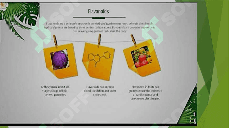 Flavonidlar va  ularni o’simliklardan ajratib olish texnalogiyasi 6