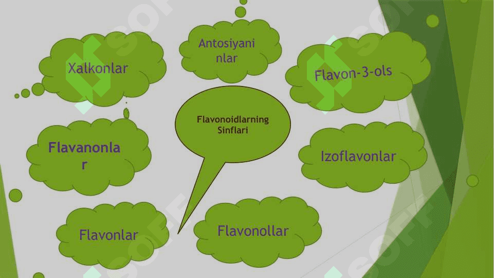 Flavonidlar va  ularni o’simliklardan ajratib olish texnalogiyasi 8
