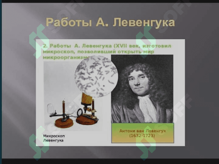 Hujayra biologiyasi. Sitologiyaning rivojlanish bosqichlari. Hujayra ta’limoti. Shvanning hujayra nazariyasi 3