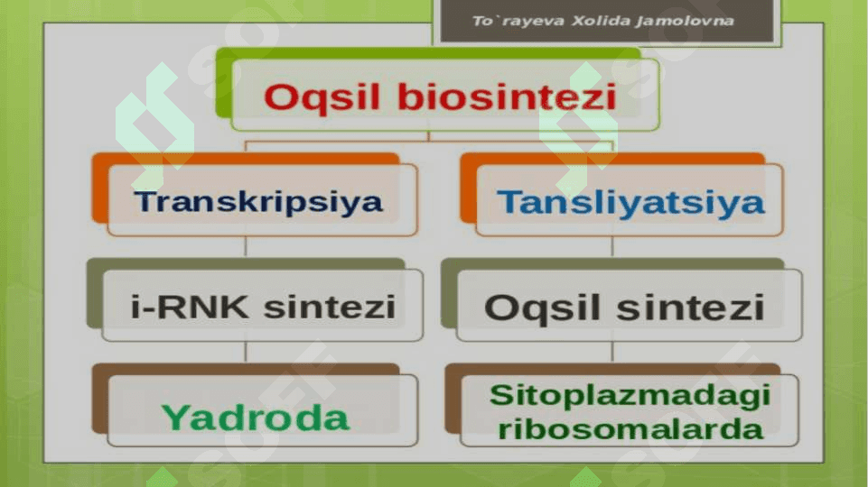 RNK turlari va uning oqsil biosintezidagi roliRNK turlari va uning oqsil biosintezidagi roli 7