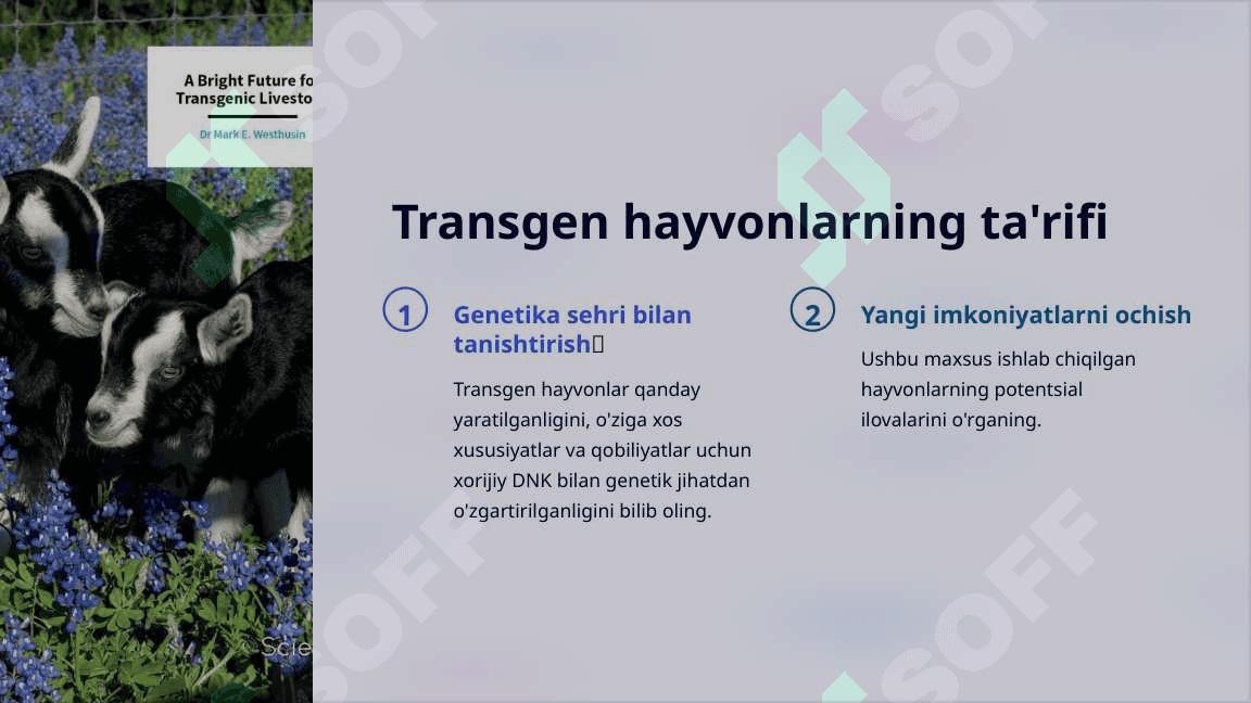 Transgen hayvonlar bioreaktor sifatida 2