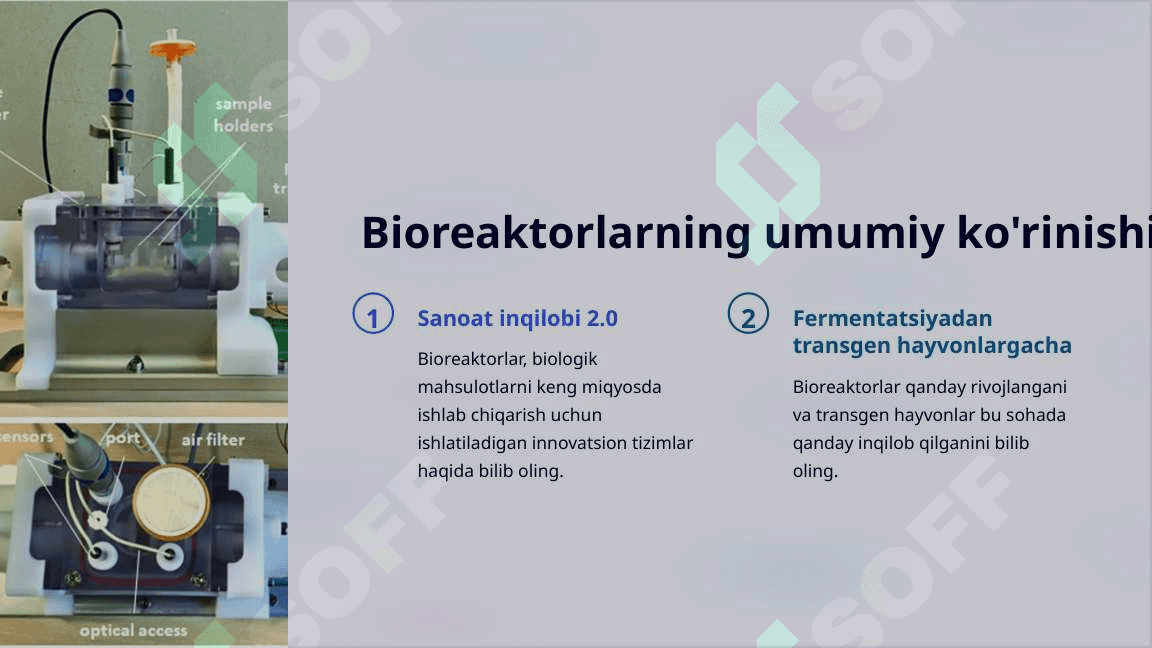 Transgen hayvonlar bioreaktor sifatida 3