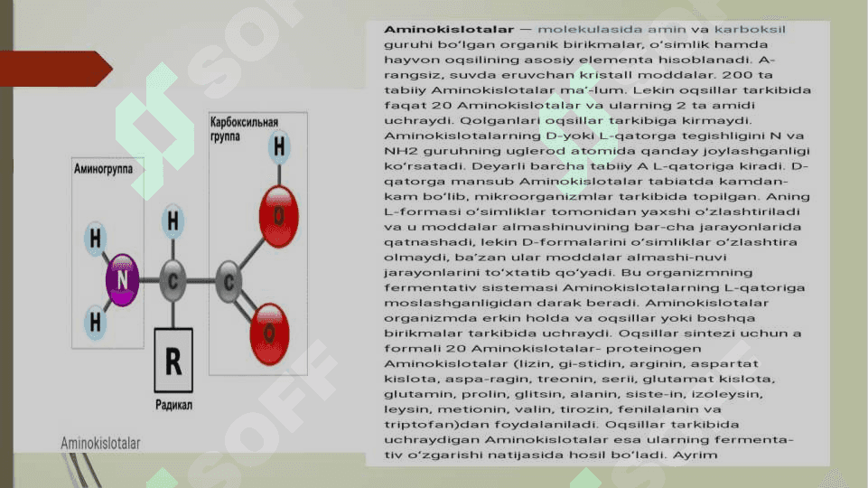 Biotexnologiyada ishlatiladigan amminokislotalar 2