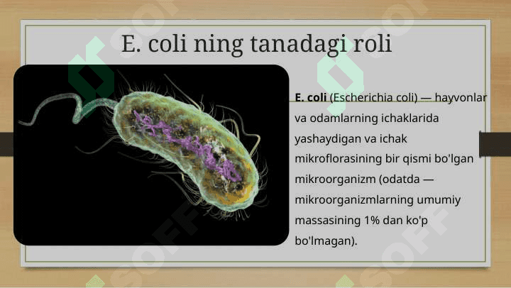 Esherichia coli bakteriyalarining sanitariya ahamiyati 4