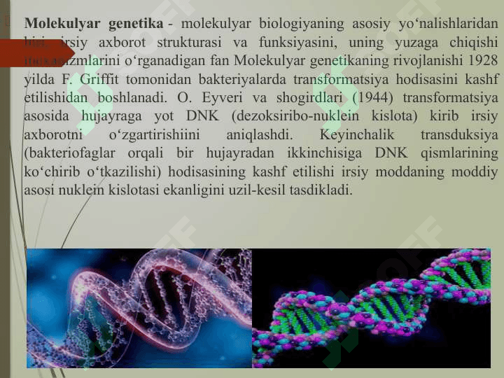 Molekulyar biotexnologiyada foydalaniladigan biotexnologik ob’yektlar 2