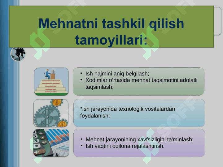 Sog’liqni saqlashda mehnatni tashkil qilish 5