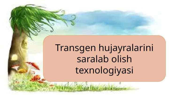 Transgen hujayralarini saralab olish texnologiyasi