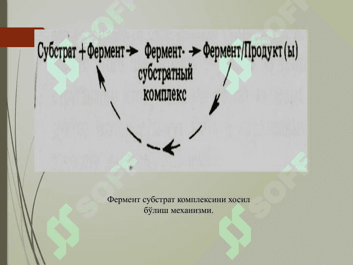 ЦЕЛЛЮЛОЗА БИОКОНВЕРЦИЯСИ УЧУН ФЕРМЕНТ КОМПЛЕКСИ МИҚДОРИНИ АНИҚЛАШНИ ЎРГАНИШ 2