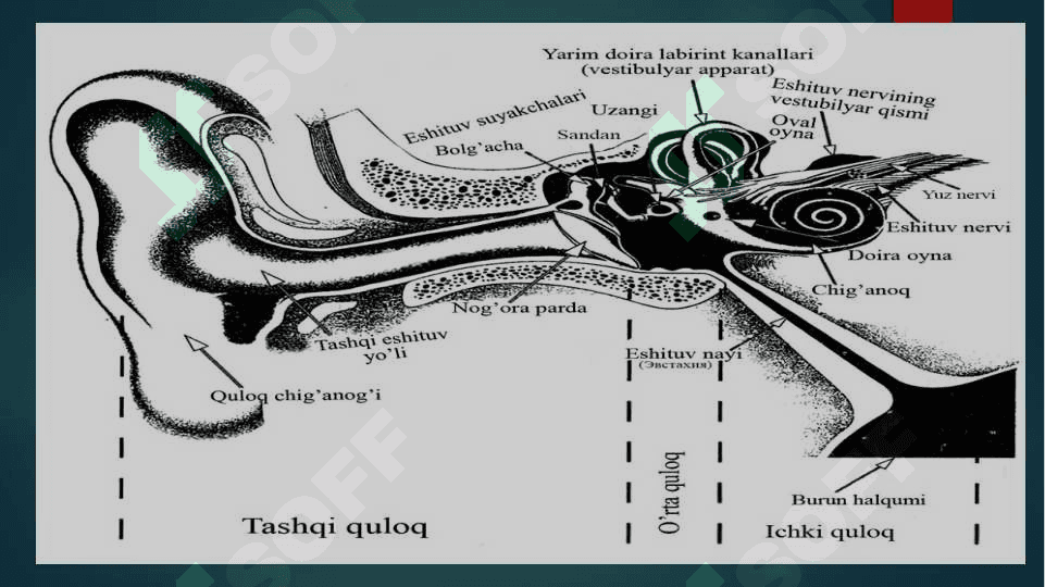 Inkulyuziv va ta’limga asoslangan differensial ta’limning zamonaviy yondashuvlari 4