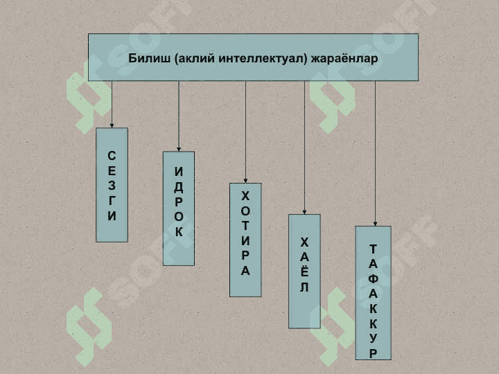 Билиш жараёнлари ва унинг босқичлари 2