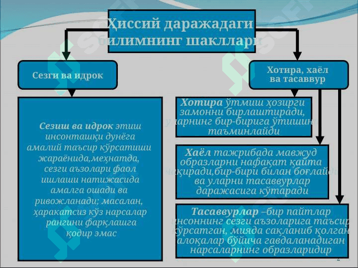 Ҳиссий, эмпирик, назарий, мантиқий ва интуитив билиш даражалари 2