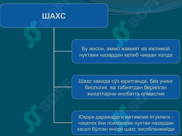 Шахс структураси 3