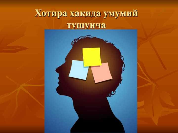 Хотира ҳақида умумий тушунча