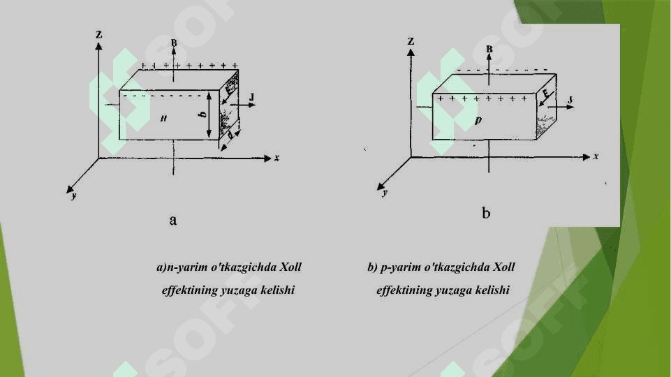 Xoll effekti 3