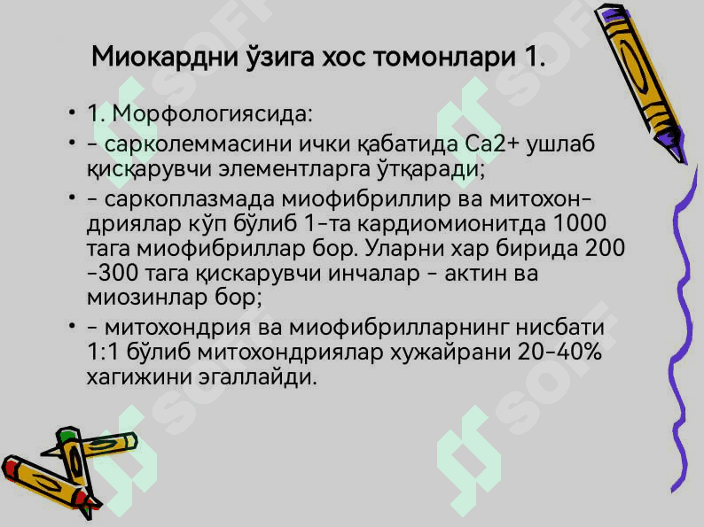 ЮРАК-ҚОН ТОМИР СИСТЕМАСИ ПАТОФИЗИОЛОГИЯСИ 6