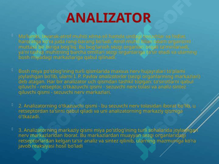 Sezgi organlarining ahamiyati va ko’rish analizatori 2