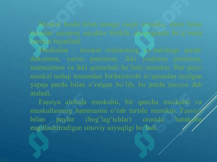 Qo’l va oyoq muskullarining tuzilishi 2
