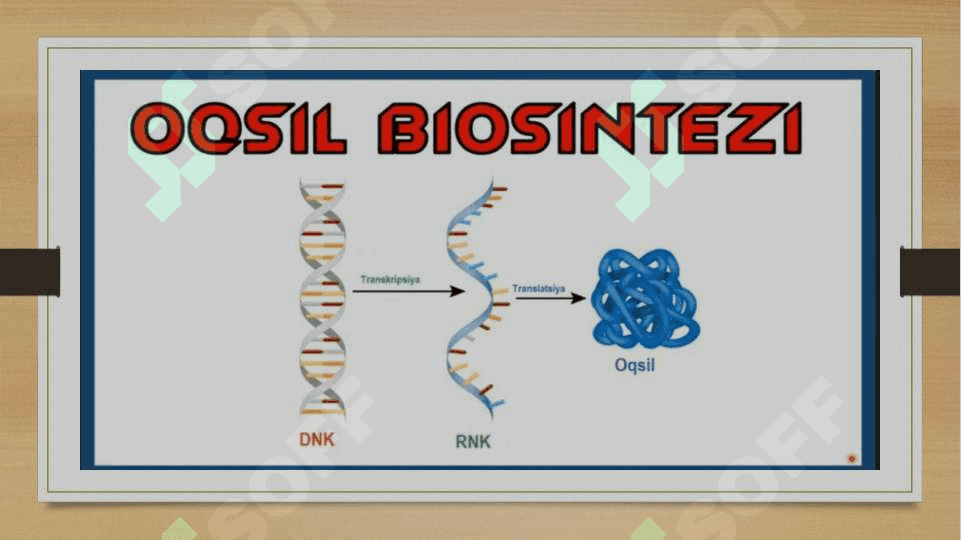 Oqsil biosintezi ingibitorlari, dori vositalari, preparatlar va bakterial toksinlar 4
