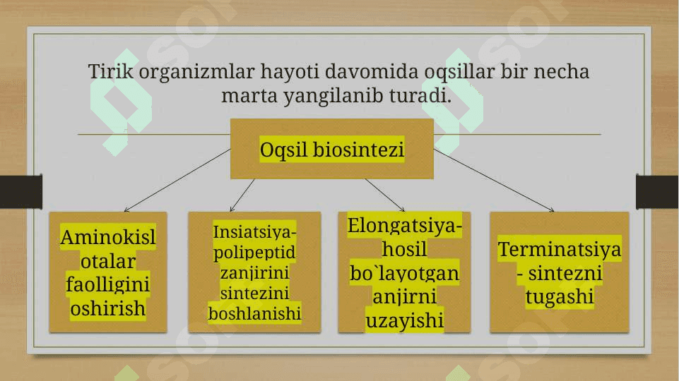 Oqsil biosintezi ingibitorlari, dori vositalari, preparatlar va bakterial toksinlar 7