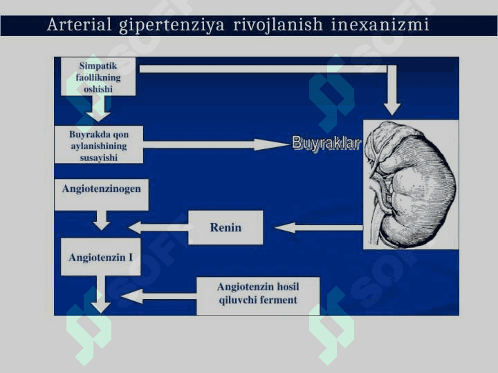 Arterial gipertenziya, gipertoniya kasalligi va buyrakka bogʻliq arterial gipertenziya etiologiyasi, patogenezi va klassifikatsiyasi 8