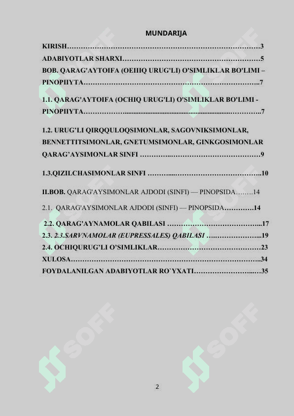 Qarag’aytoifa o’simliklar bo’limi 2