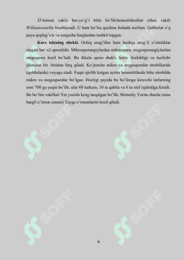 Qarag’aytoifa o’simliklar bo’limi 4