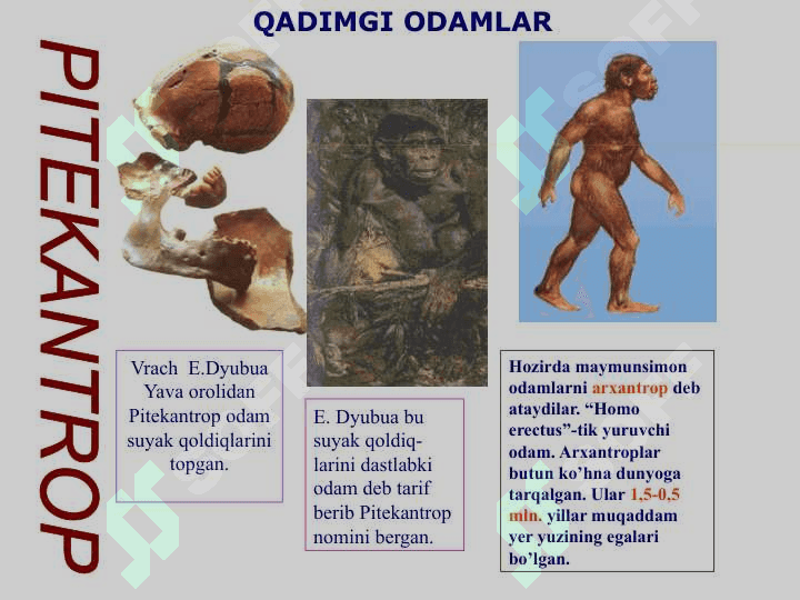 MARKAZIY OSIYO  INSONIYAT SIVILIZATSIYASINING QADIMGIUCHOQLARIDAN  BIRI. 8