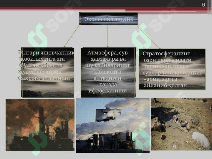 Tabiat falsafasi . ТАБИАТ ФАЛСАФАСИ 6