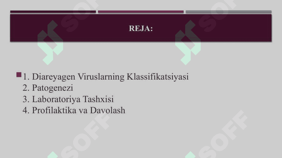 Diareyagen viruslar klassifikatsiyasi patogenezi labaratoriya tashxisi 2