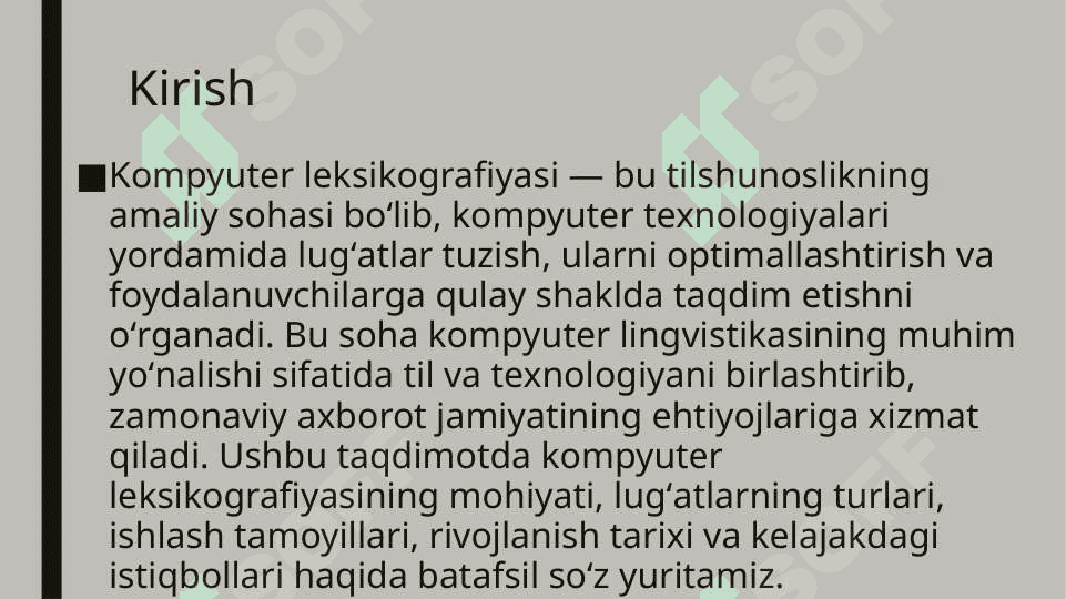 Kompyuter leksikografiyasi 2