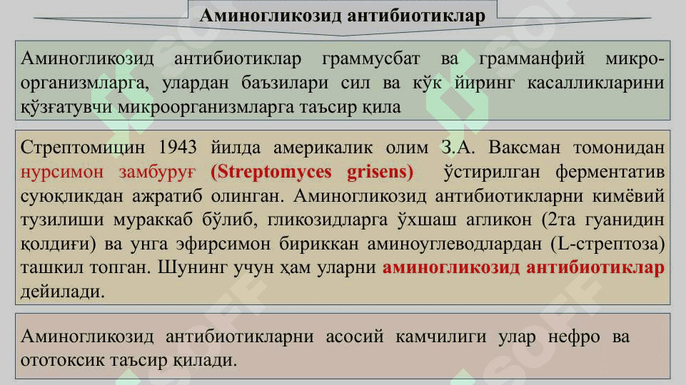 Антибиотиклар гуруҳига кирган дори воситалари. Аминогликозид антибиотиклар. 2