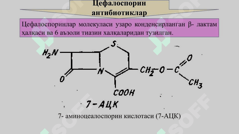 Антибиотиклар гуруҳига кирган дори воситалари. Аминогликозид антибиотиклар. 7