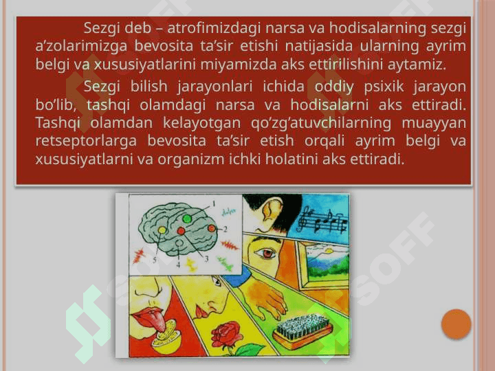SEZGILAR VA ISHLAB CHIQARISH JARAYONI 5