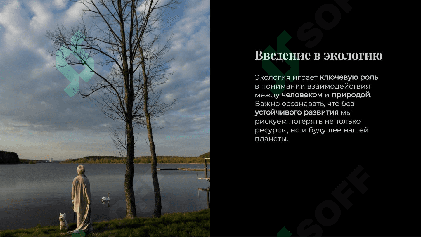 Экология и международное сотрудничество 3