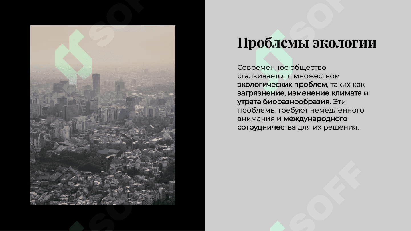 Экология и международное сотрудничество 4