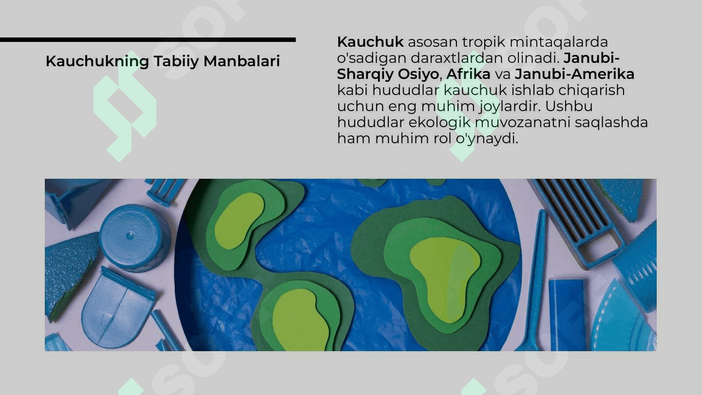 Kauchuk tabiatda ishlatilishi va tarqalishi 4