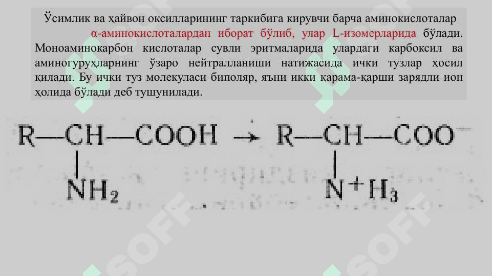 Аминокислоталар гуруҳига кирган дори воситалари 3