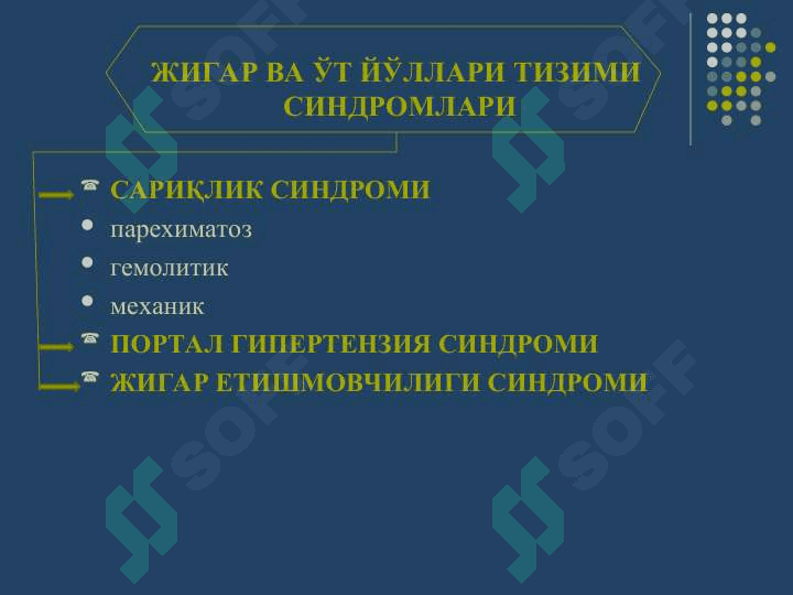 ЖИГАР ВА ЎТ ЙЎЛЛАРИ ТИЗИМИ СИНДРОМЛАРИ 2