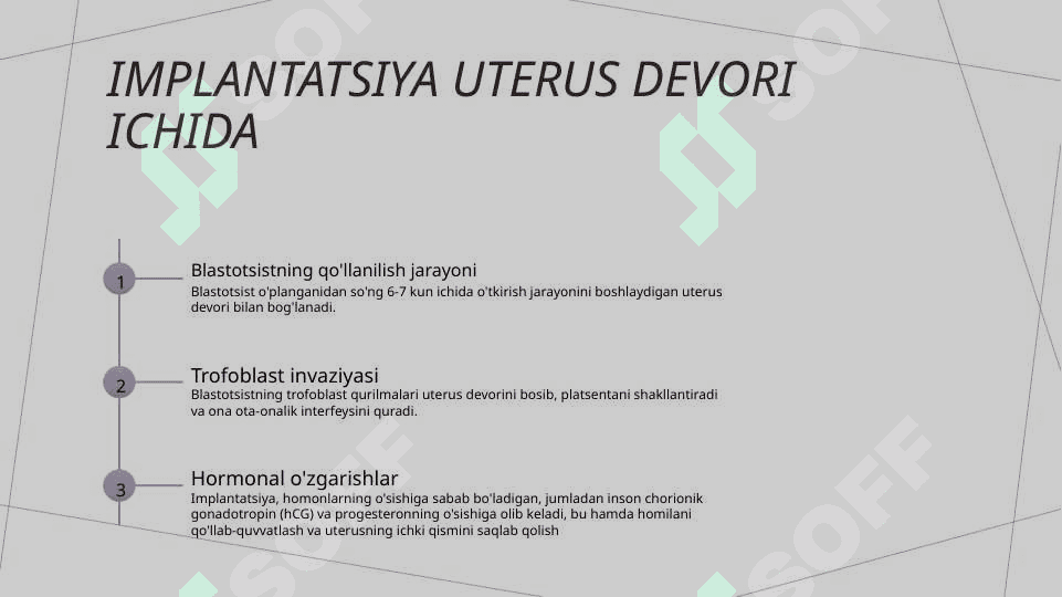 Hujayra ontogenezining rivojlanish bosqichlari 6