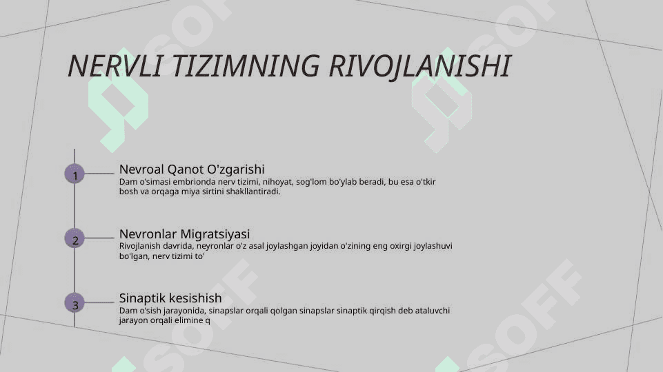 Hujayra ontogenezining rivojlanish bosqichlari 8
