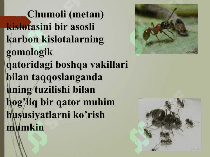 Chumoli kislota Muhim hususiyatlarni Olinish usullari Qo’llanilishi 3