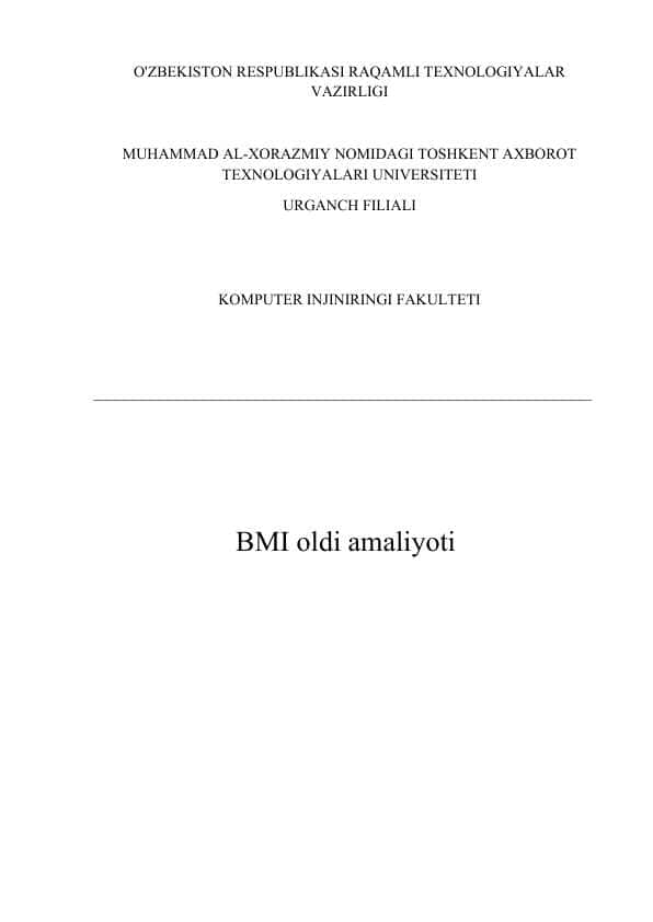 amaliyot Hisobot BMI IT Park uchun