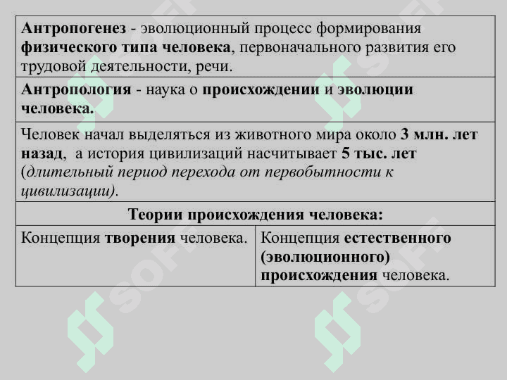 Древнейшая стадия истории человечества. 3