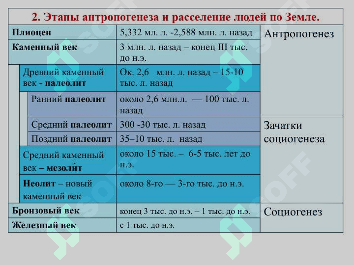 Древнейшая стадия истории человечества. 8